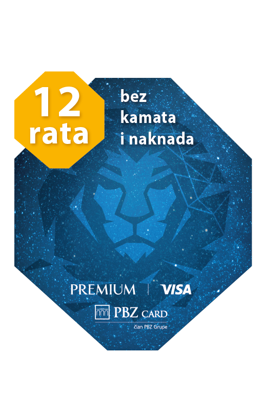 VISA Premium logo